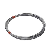 Cable Inner Wire 2.0mm 1x19 100