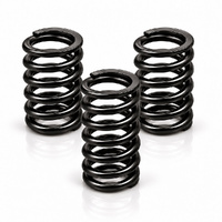 Clutch Spring Kit - 3