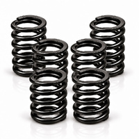 Clutch Spring Kit - 6