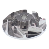 Water Pump Impeller Kit