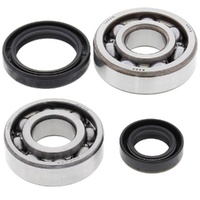 Crankshaft Bearing & Seal Kit