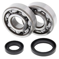 Crankshaft Bearing & Seal Kit