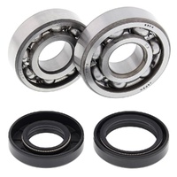 Crankshaft Bearing & Seal Kit