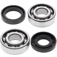 Crankshaft Bearing & Seal Kit