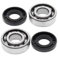 Crankshaft Bearing & Seal Kit