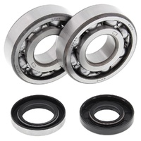 Crankshaft Bearing & Seal Kit