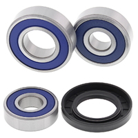 Wheel Bearing Seal Kit Rear