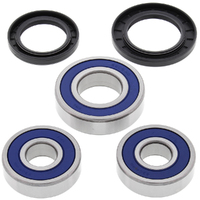 Wheel Bearing Seal Kit Rear