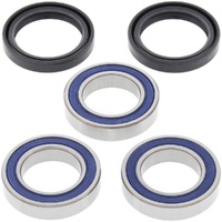 Wheel Bearing Seal Kit