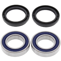 Wheel Bearing Seal Kit Rear