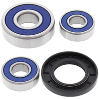 Wheel Bearing Seal Kit Rear