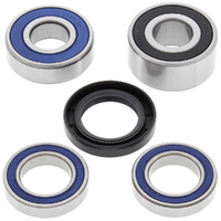 Wheel Bearing Seal Kit Rear