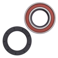 Wheel Bearing Seal Kit Rear