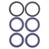 Wheel Bearing Seal Kit Rear