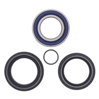 Wheel Bearing Seal Kit