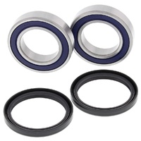 Wheel Bearing Seal Kit Rear