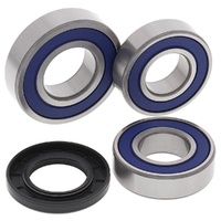 Wheel Bearing Seal Kit Rear