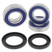 Wheel Bearing Seal Kit Rear