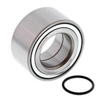 Wheel Bearing Seal Kit