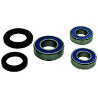 Wheel Bearing Seal Kit Rear