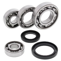 Differential Bearing Seal Kit Rear