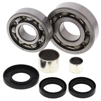 Differential Bearing Seal Kit