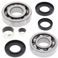 Differential Bearing Seal Kit