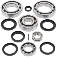 Differential Bearing Seal Kit