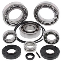 Differential Bearing Seal Kit Rear