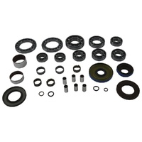 Differential Bearing Seal Kit