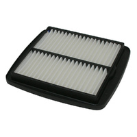 Air Filter OE Replacement