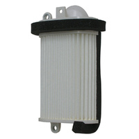 Air Filter OE Replacement