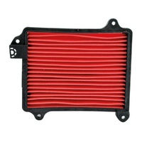 Air Filter OE Replacement