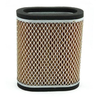 Air Filter OE Replacement