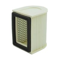 Air Filter OE Replacement