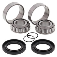 Swingarm Bearings Seals Kit