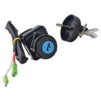 Ignition Switch Key Assembly