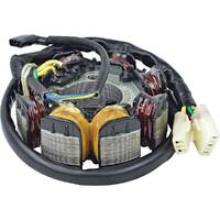 Charging Stator Coil 