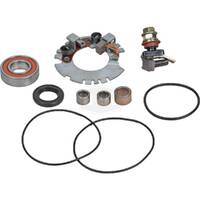 Starter Motor Repair Kit