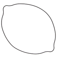 Outer Clutch Cover Gasket