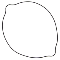 Outer Clutch Cover Gasket