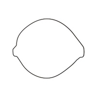 Outer Clutch Cover Gasket