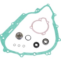 Water Pump Rebuild Kit