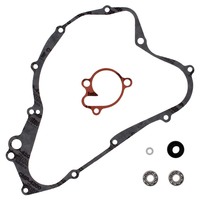 Water Pump Rebuild Kit