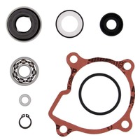 Water Pump Rebuild Kit