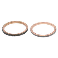 Exhaust Gasket