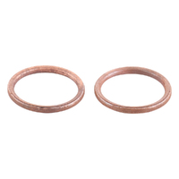 Exhaust Gasket