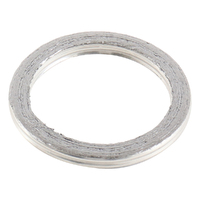 Exhaust Gasket