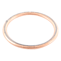 Exhaust Gasket