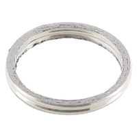 Exhaust Gasket